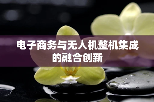 电子商务与无人机整机集成的融合创新