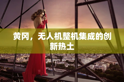 黄冈，无人机整机集成的创新热土
