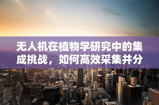 无人机在植物学研究中的集成挑战，如何高效采集并分析植物生态数据？