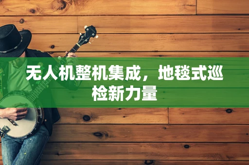 无人机整机集成，地毯式巡检新力量
