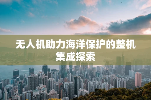 无人机助力海洋保护的整机集成探索