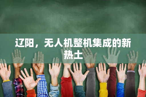 辽阳，无人机整机集成的新热土
