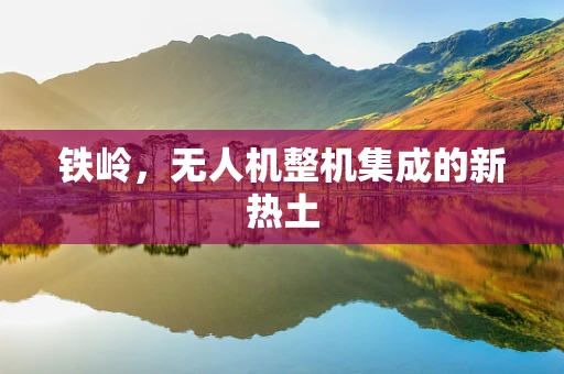 铁岭，无人机整机集成的新热土