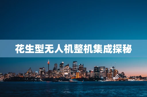 花生型无人机整机集成探秘
