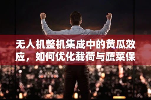 无人机整机集成中的黄瓜效应，如何优化载荷与蔬菜保鲜的完美结合？