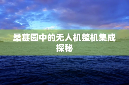 桑葚园中的无人机整机集成探秘