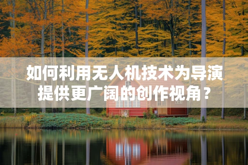 如何利用无人机技术为导演提供更广阔的创作视角？