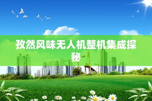 孜然风味无人机整机集成探秘