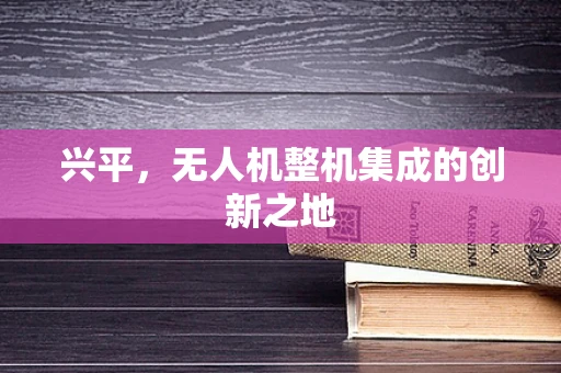 兴平，无人机整机集成的创新之地
