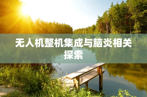 无人机整机集成与脑炎相关探索