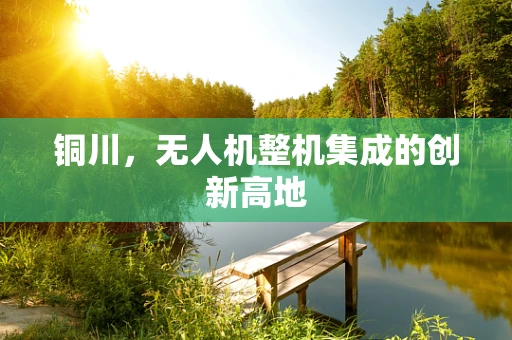 铜川，无人机整机集成的创新高地