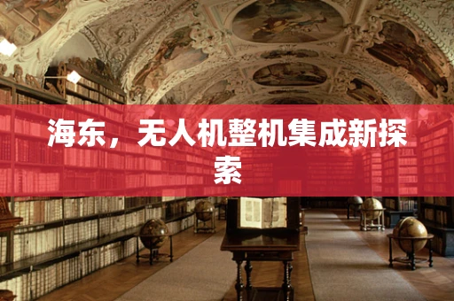 海东，无人机整机集成新探索