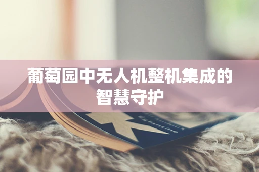 葡萄园中无人机整机集成的智慧守护