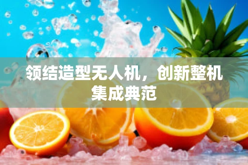 领结造型无人机，创新整机集成典范