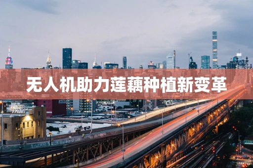 无人机助力莲藕种植新变革
