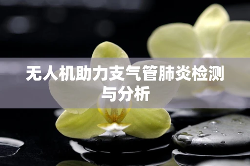 无人机助力支气管肺炎检测与分析