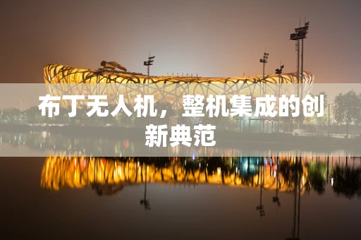 布丁无人机，整机集成的创新典范