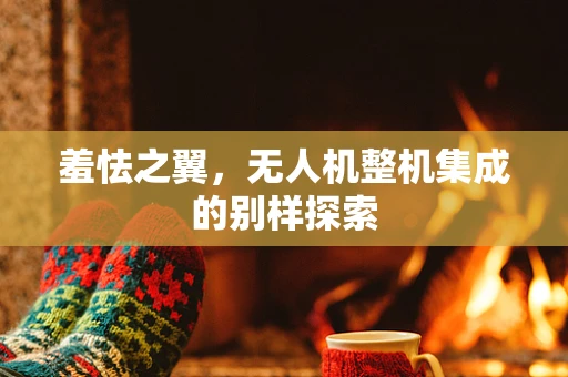羞怯之翼，无人机整机集成的别样探索