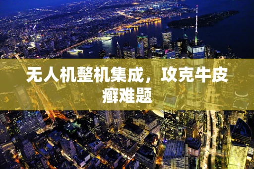 无人机整机集成，攻克牛皮癣难题