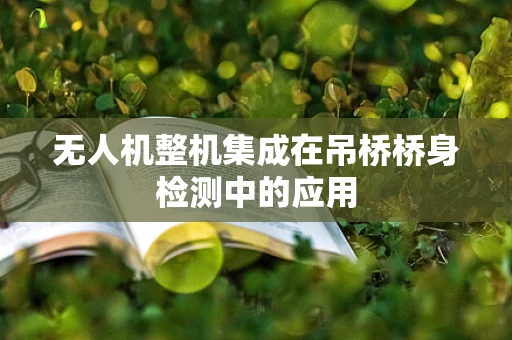 无人机整机集成在吊桥桥身检测中的应用