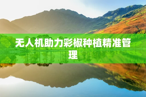 无人机助力彩椒种植精准管理
