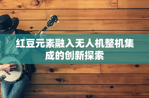 红豆元素融入无人机整机集成的创新探索