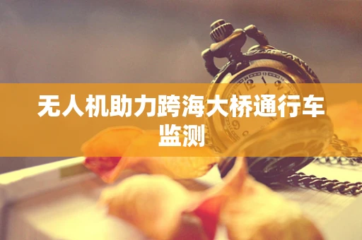 无人机助力跨海大桥通行车监测