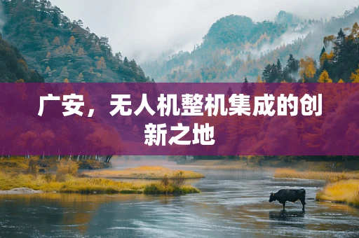 广安，无人机整机集成的创新之地