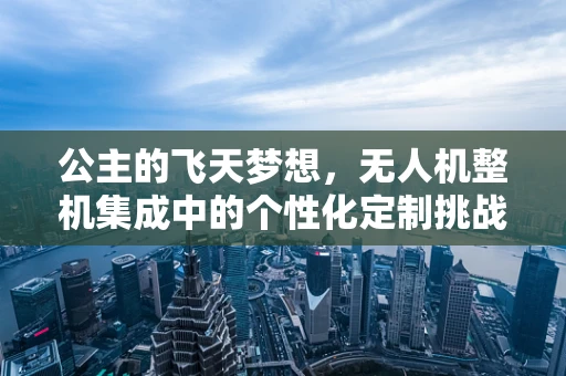 公主的飞天梦想，无人机整机集成中的个性化定制挑战