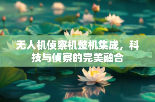 无人机侦察机整机集成，科技与侦察的完美融合