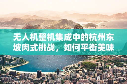 无人机整机集成中的杭州东坡肉式挑战，如何平衡美味与轻盈？