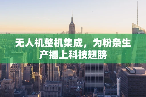 无人机整机集成，为粉条生产插上科技翅膀