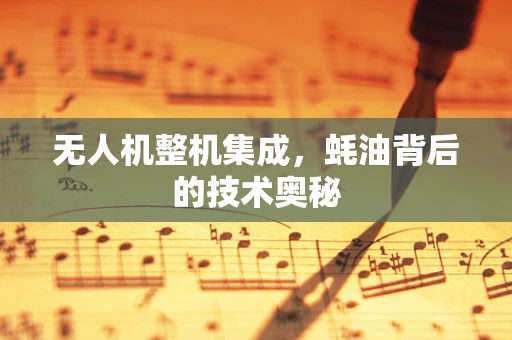无人机整机集成，蚝油背后的技术奥秘
