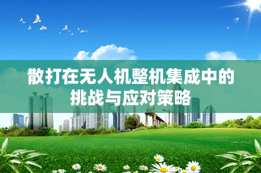 散打在无人机整机集成中的挑战与应对策略