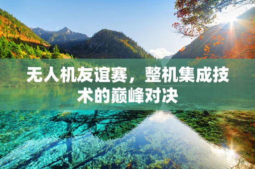 无人机友谊赛，整机集成技术的巅峰对决