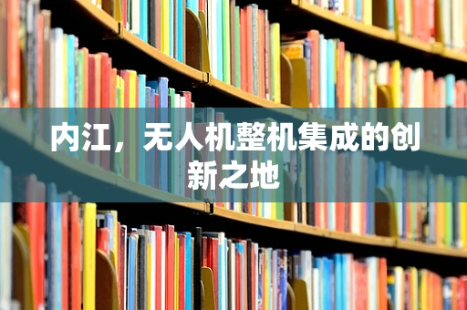 内江，无人机整机集成的创新之地