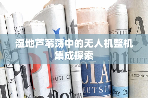 湿地芦苇荡中的无人机整机集成探索