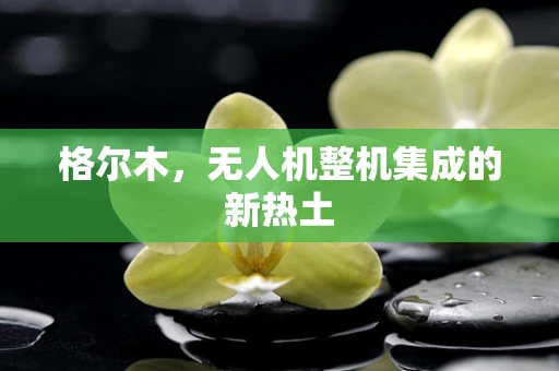 格尔木，无人机整机集成的新热土