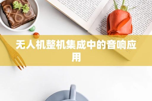 无人机整机集成中的音响应用