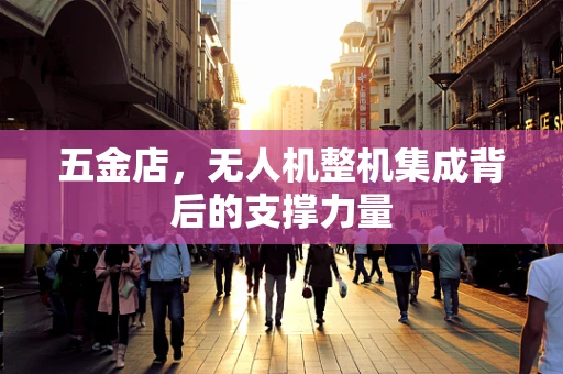 五金店，无人机整机集成背后的支撑力量