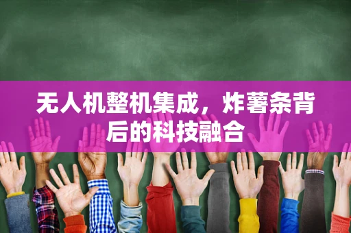 无人机整机集成，炸薯条背后的科技融合