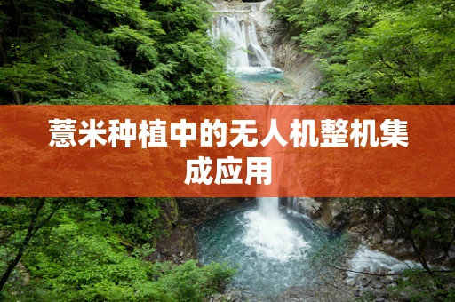 薏米种植中的无人机整机集成应用
