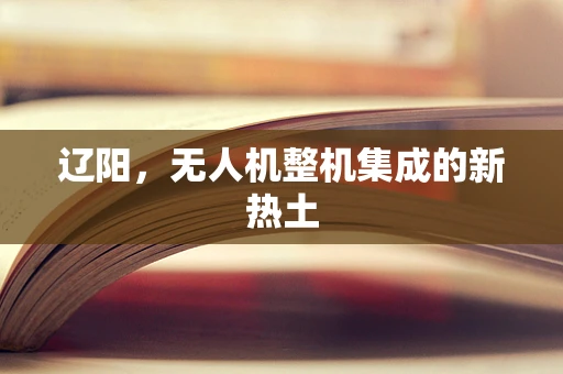 辽阳，无人机整机集成的新热土
