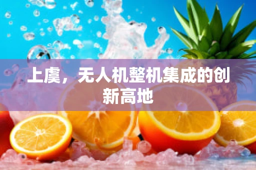 上虞，无人机整机集成的创新高地