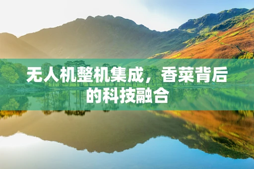 无人机整机集成，香菜背后的科技融合