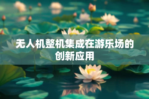 无人机整机集成在游乐场的创新应用