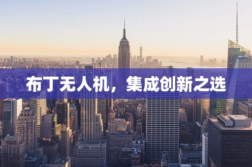 布丁无人机，集成创新之选