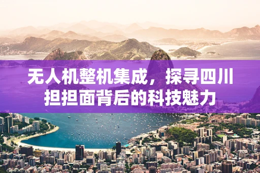 无人机整机集成，探寻四川担担面背后的科技魅力