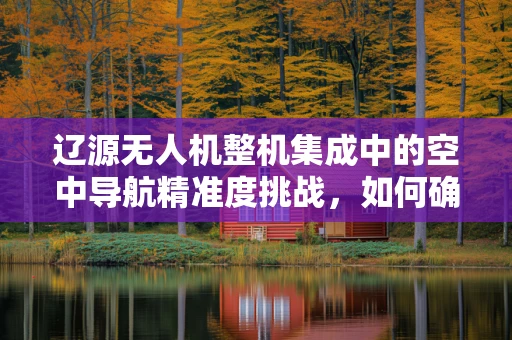 辽源无人机整机集成中的空中导航精准度挑战，如何确保复杂地形下的稳定飞行？