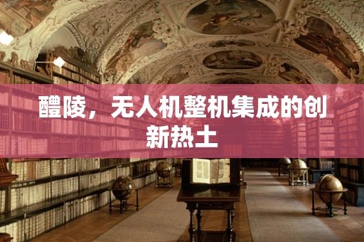 醴陵，无人机整机集成的创新热土